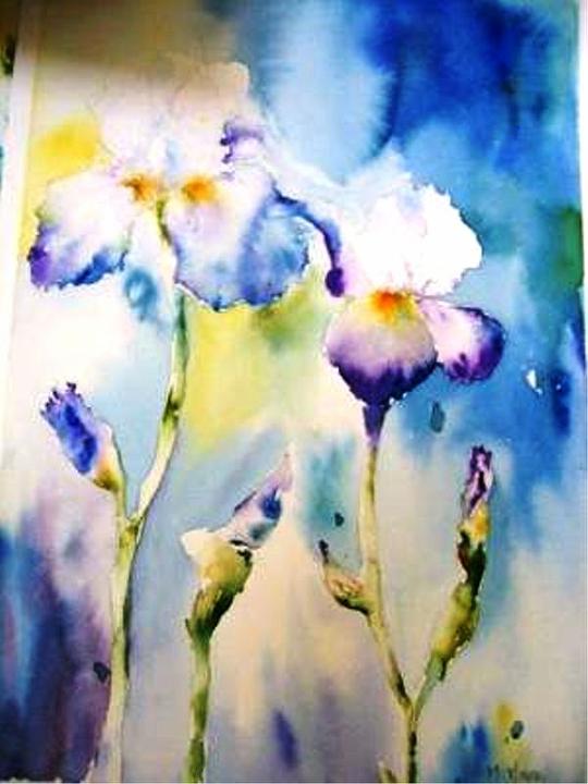 Michele5.jpg - Iris  (Michèle Meyer)