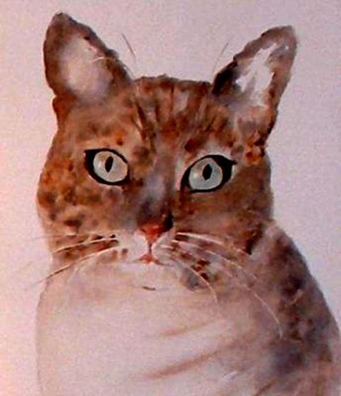 chat2.jpg - Tête de chat