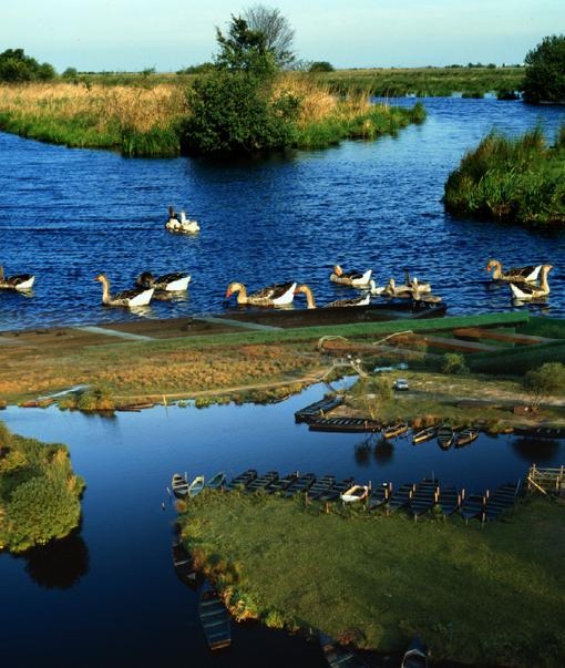 99-paysage-Lucette.jpg - Fusion de images — Lucette T.