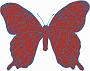 77-Papillon-DeniseF
